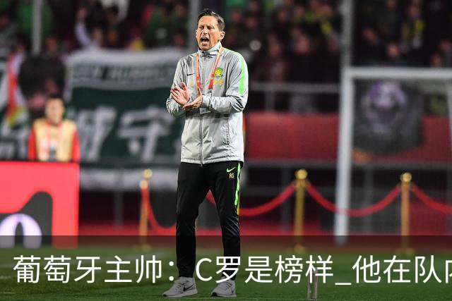 葡萄牙主帅：C罗是榜样 他在队内的重要性像是他首次参加世界杯